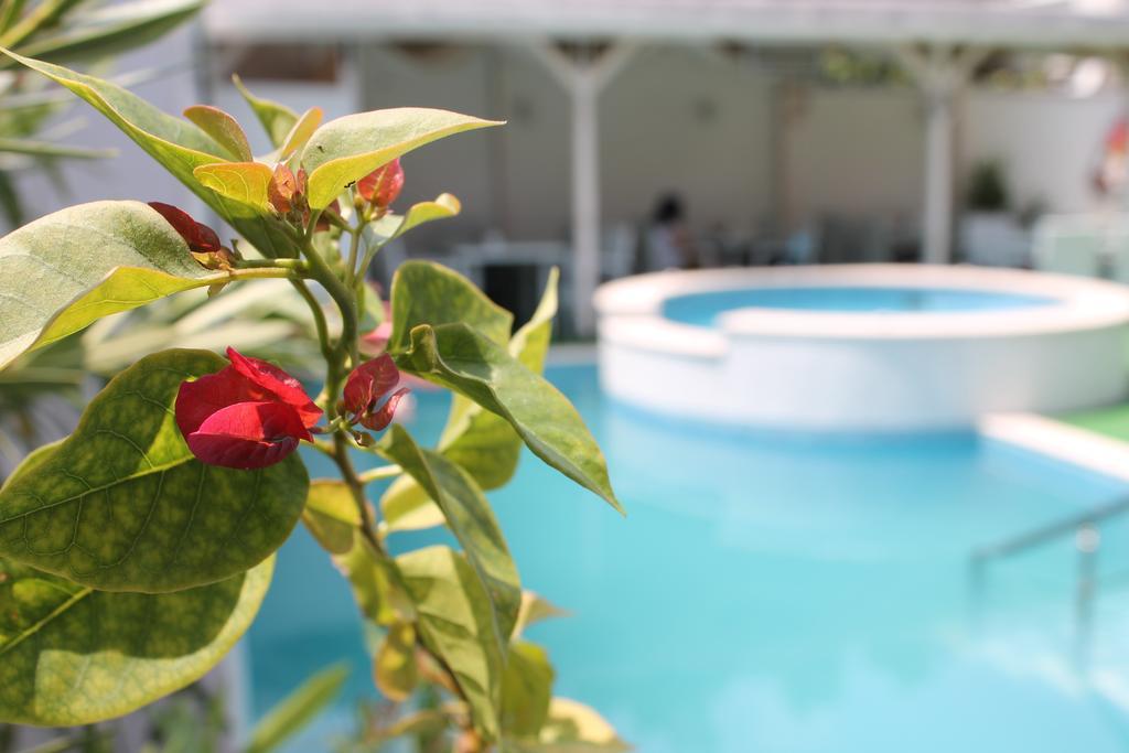 Saint George Family Hotel Welingrad Exterior foto